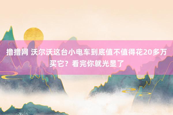 撸撸网 沃尔沃这台小电车到底值不值得花20多万买它？看完你就光显了