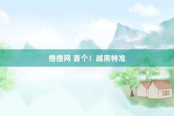 撸撸网 首个！越南特准