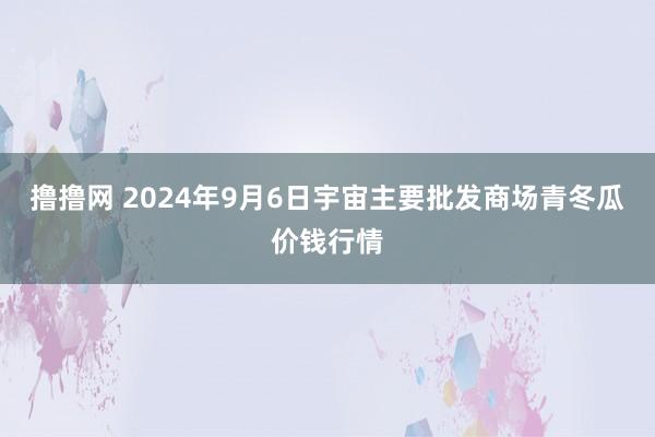 撸撸网 2024年9月6日宇宙主要批发商场青冬瓜价钱行情