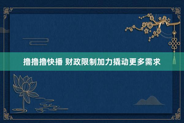 撸撸撸快播 财政限制加力撬动更多需求