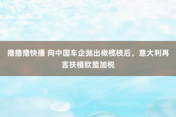 撸撸撸快播 向中国车企抛出橄榄枝后，意大利再言扶植欧盟加税