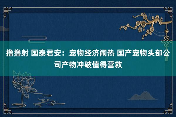 撸撸射 国泰君安：宠物经济闹热 国产宠物头部公司产物冲破值得营救
