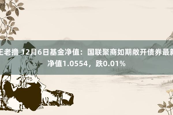 王老撸 12月6日基金净值：国联聚商如期敞开债券最新净值1.0554，跌0.01%