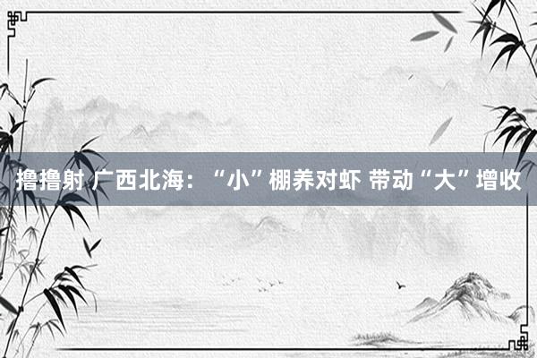 撸撸射 广西北海：“小”棚养对虾 带动“大”增收