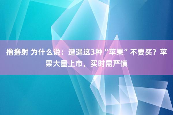 撸撸射 为什么说：遭遇这3种“苹果”不要买？苹果大量上市，买时需严慎