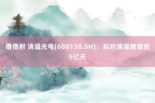 撸撸射 清溢光电(688138.SH)：拟对清溢微增资5亿元