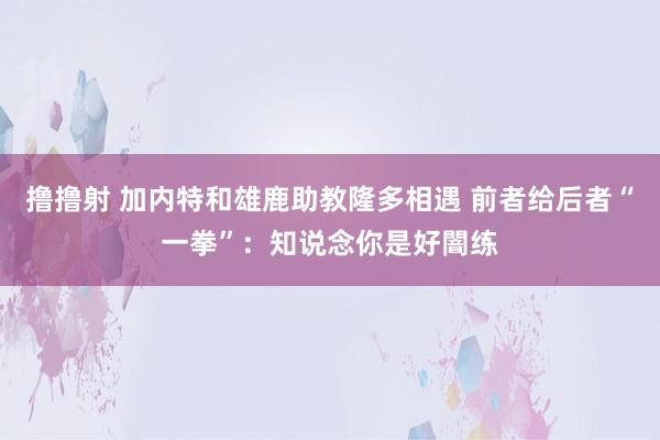 撸撸射 加内特和雄鹿助教隆多相遇 前者给后者“一拳”：知说念你是好闇练