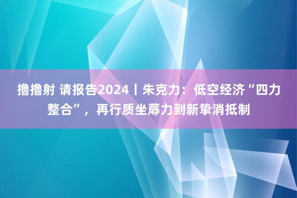 撸撸射 请报告2024丨朱克力：低空经济“四力整合”，再行质坐蓐力到新挚消抵制