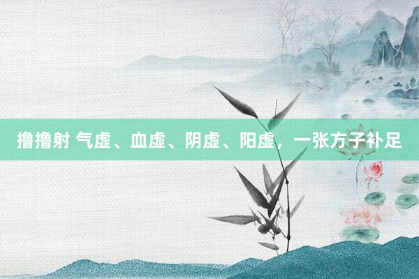撸撸射 气虚、血虚、阴虚、阳虚，一张方子补足