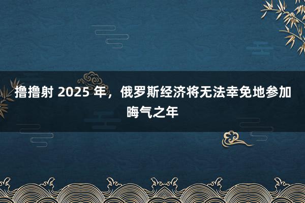 撸撸射 2025 年，俄罗斯经济将无法幸免地参加晦气之年