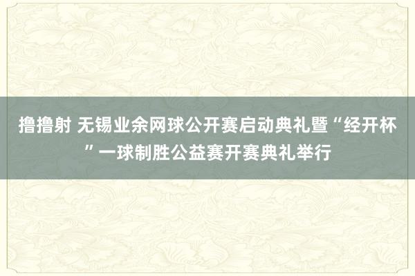 撸撸射 无锡业余网球公开赛启动典礼暨“经开杯”一球制胜公益赛开赛典礼举行