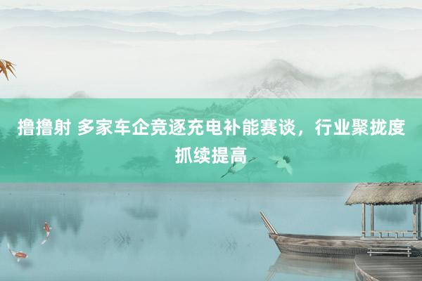 撸撸射 多家车企竞逐充电补能赛谈，行业聚拢度抓续提高
