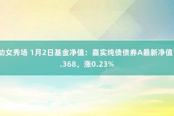 幼女秀场 1月2日基金净值：嘉实纯债债券A最新净值1.368，涨0.23%