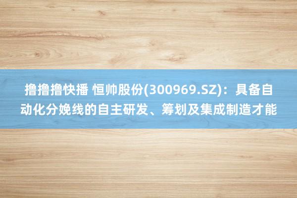 撸撸撸快播 恒帅股份(300969.SZ)：具备自动化分娩线的自主研发、筹划及集成制造才能