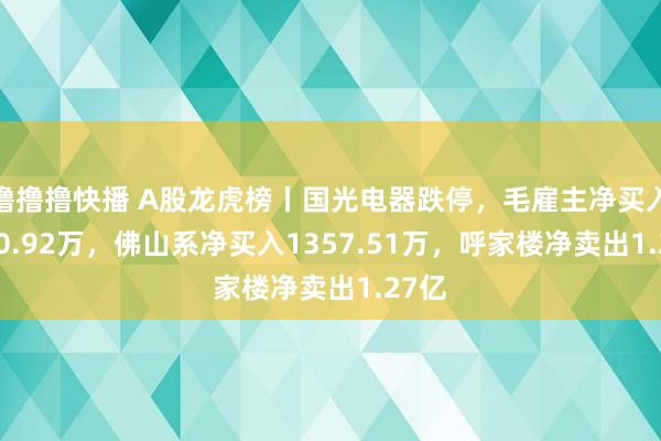 撸撸撸快播 A股龙虎榜丨国光电器跌停，毛雇主净买入4130.92万，佛山系净买入1357.51万，呼家楼净卖出1.27亿